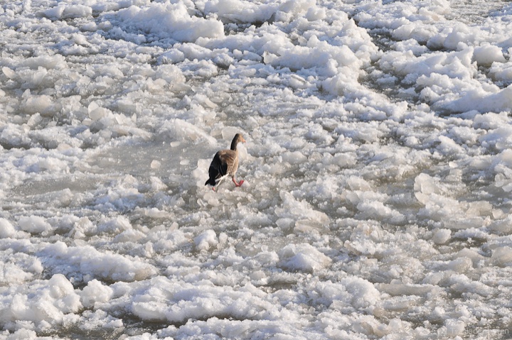 Eiszeit