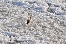 Eiszeit