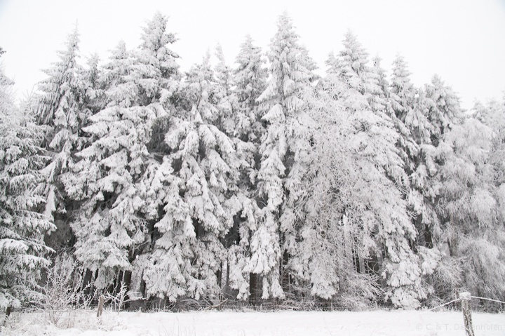 Eiszeit
