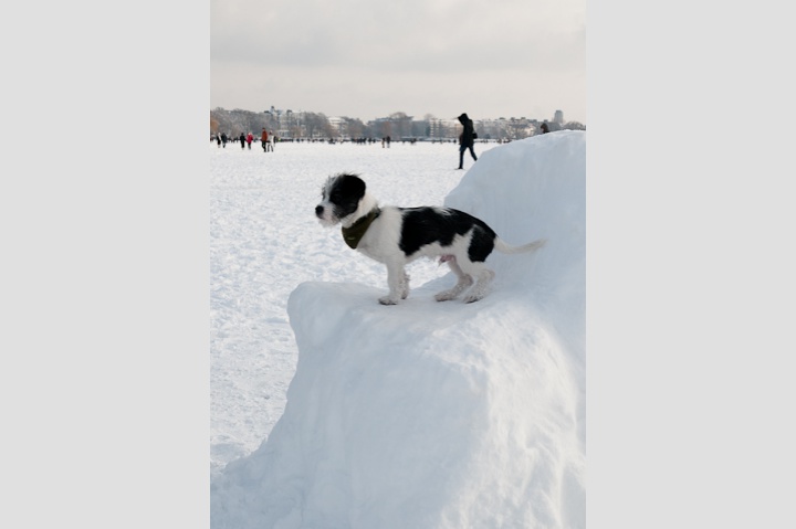 Eiszeit