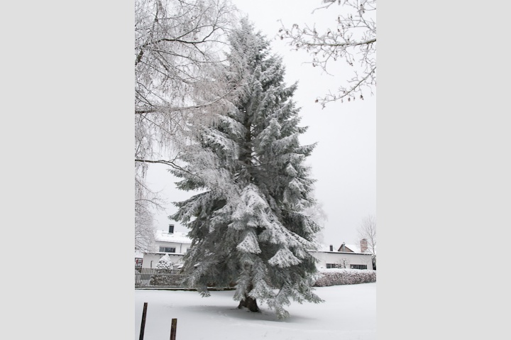 Eiszeit