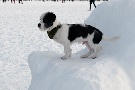 Eiszeit