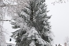 Eiszeit