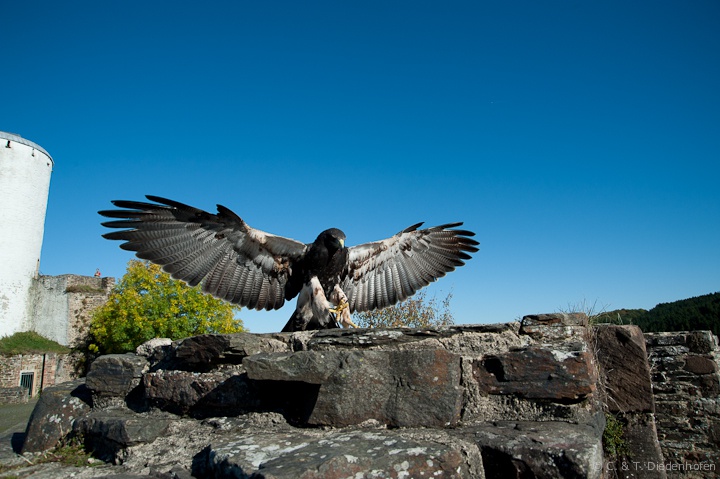 Anflug