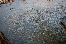 der See kocht ...