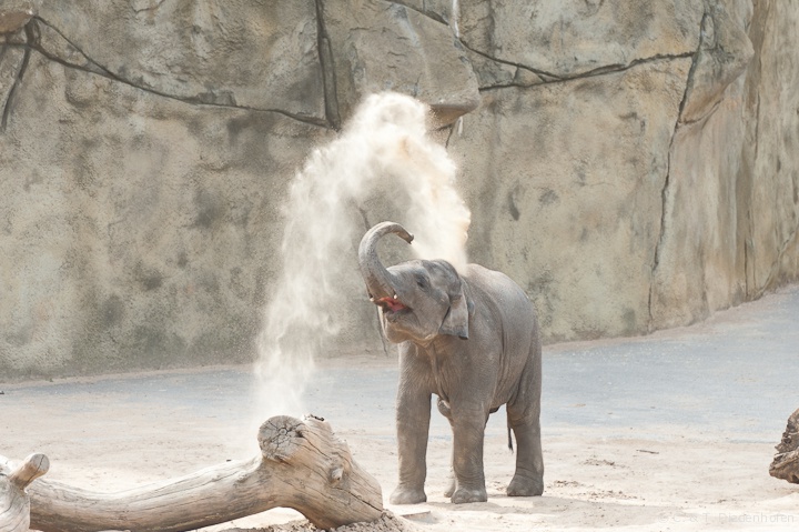 Sanddusche