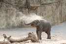 Sanddusche