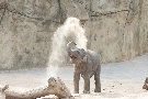 Sanddusche