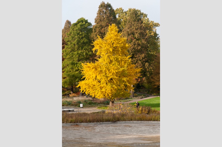 Spätherbst - Impressionen