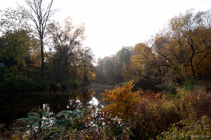 Spätherbst - Impressionen