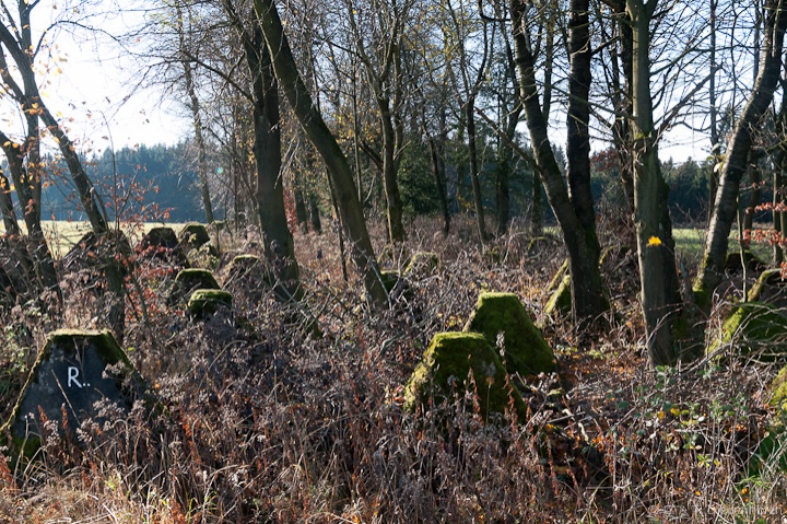 Teile des Westwalls