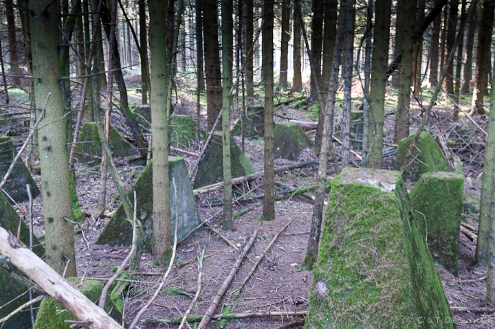 Teile des Westwalls