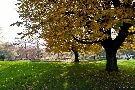 Spätherbst - Impressionen