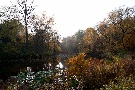 Spätherbst - Impressionen