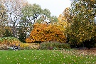 Spätherbst - Impressionen