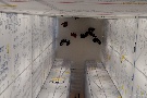 im Pergamon Museum