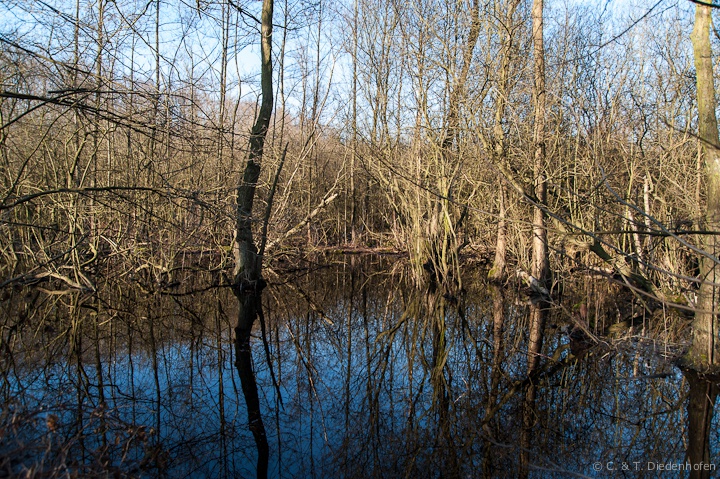 Impressionen