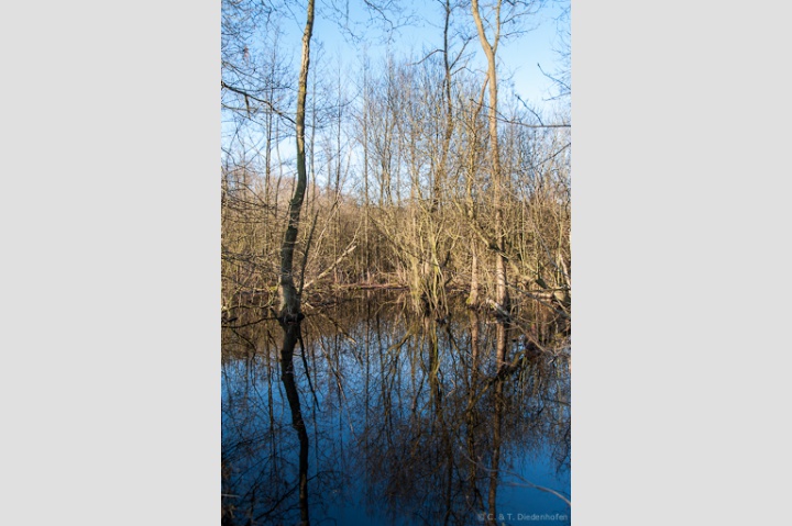 Impressionen