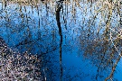 Impressionen