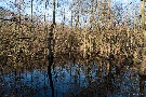 Impressionen