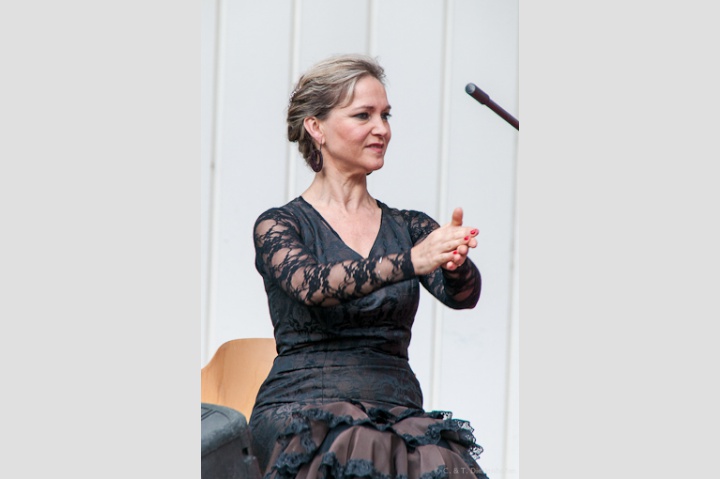 spanischer Tag und Flamenco