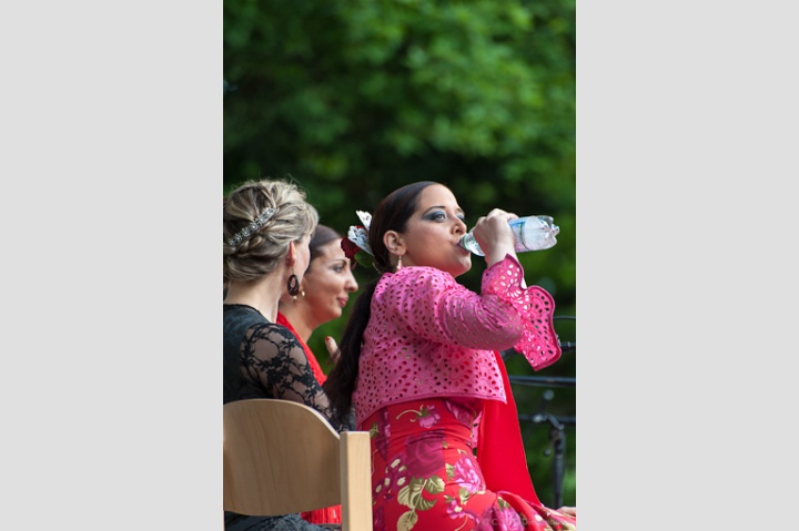 spanischer Tag und Flamenco