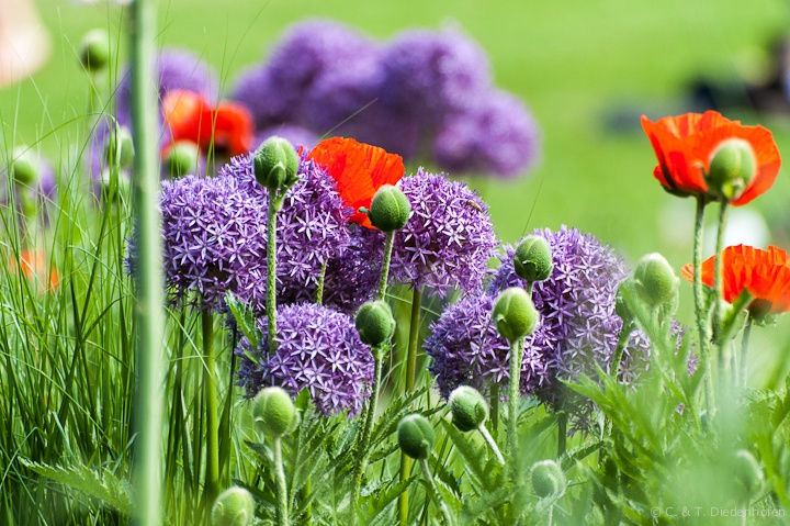 die Farben