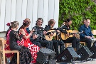 spanischer Tag und Flamenco