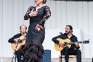 spanischer Tag und Flamenco