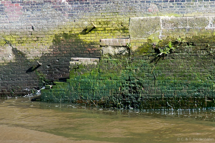 schön grün