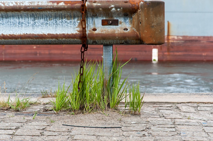 Leitplanke an der Kaimauer mit Containerschiff im Hintergrund