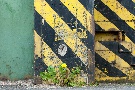 die Natur holt sich alles wieder
