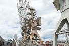 Kaikrane