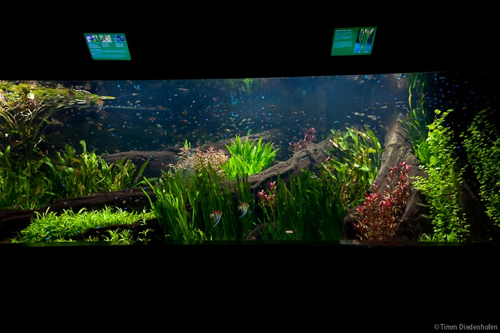 Tropenaquarium Hagenbeck