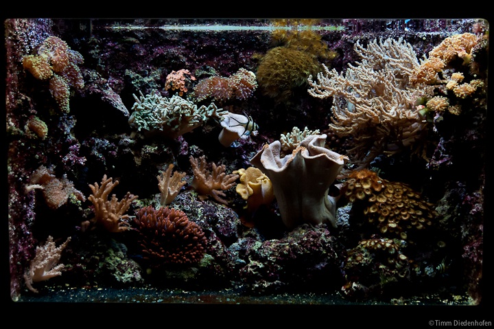 Tropenaquarium Hagenbeck