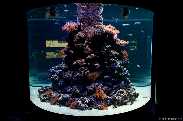 Tropenaquarium Hagenbeck