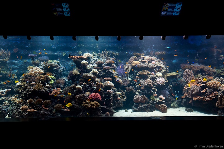 Tropenaquarium Hagenbeck