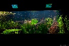 Tropenaquarium Hagenbeck