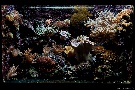 Tropenaquarium Hagenbeck