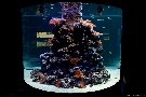 Tropenaquarium Hagenbeck