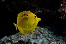 Tropenaquarium Hagenbeck
