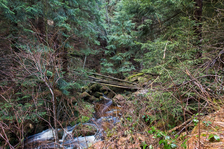 Bachimpressionen, kleine Renne