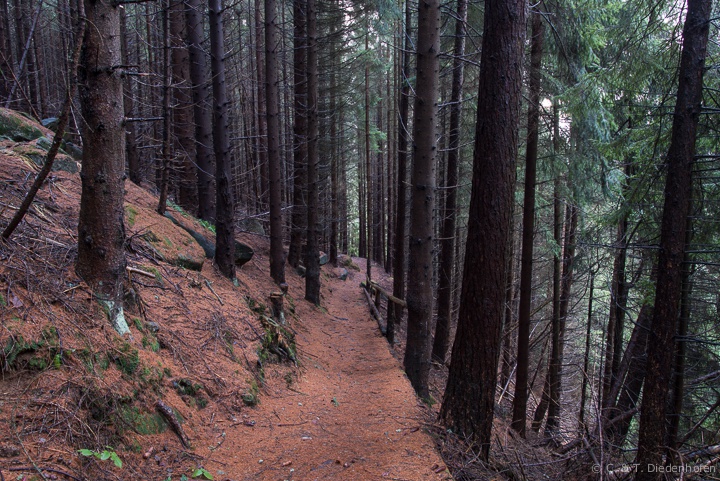 Wanderwege