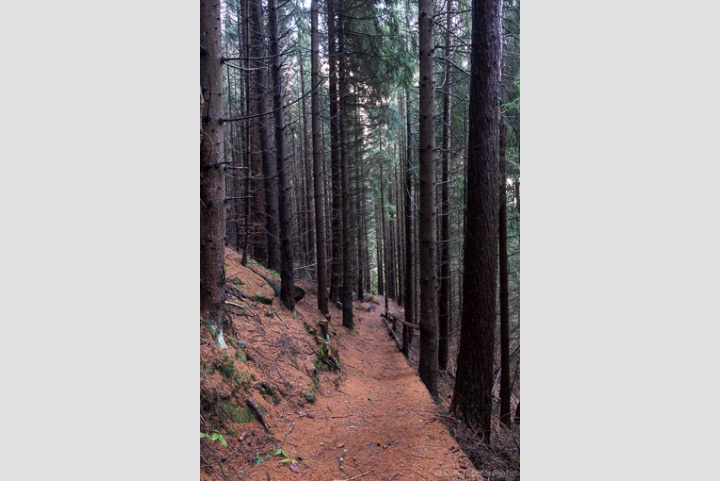 Wanderwege