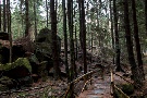 Wanderwege