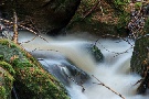 Bachimpressionen, kleine Renne