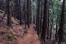 Wanderwege