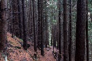Wanderwege