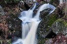 Bachimpressionen, kleine Renne