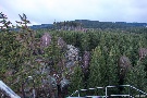 Blick vom Ottofelsen